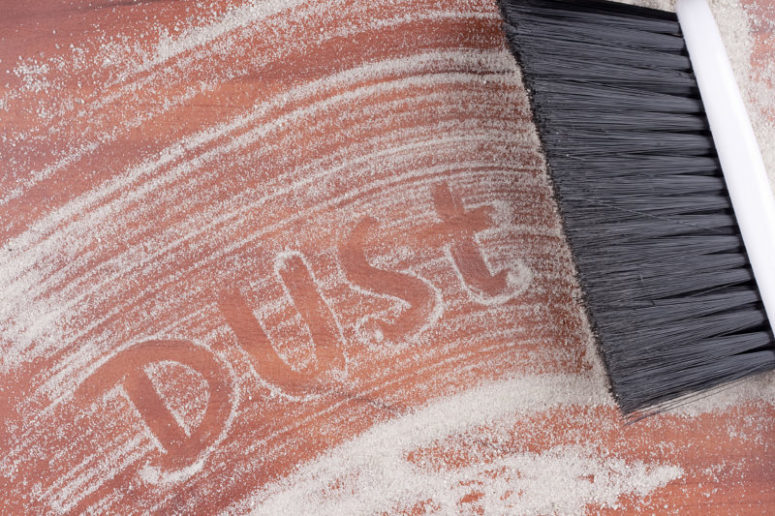 Dust Hiding In Home